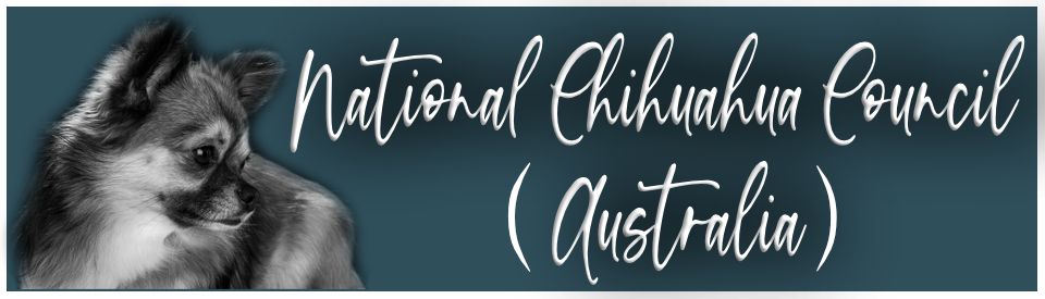 National Chihuahua Council Australia